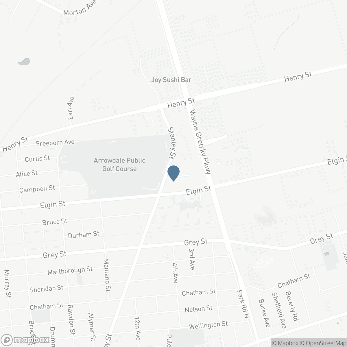 251 STANLEY Street, Brantford, Ontario N3S 6N5